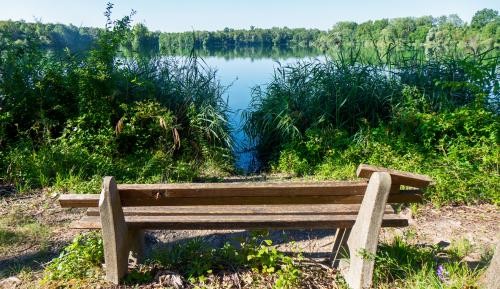 Leutesheimer Wald Eine Bank am Baggersee Mittelgrund